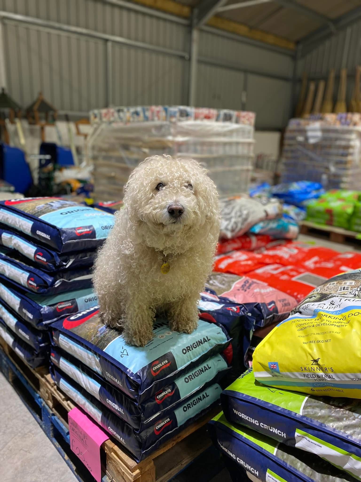 Inside Smiths Rural Supplies shop