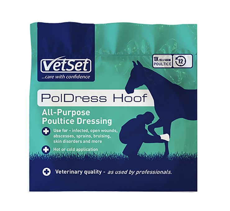 Vetset Poll Dress