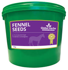 Global Herbs Fennel Seeds 1kg