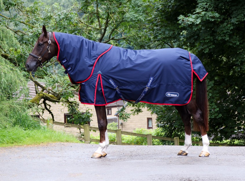 Whitaker Rastrick V2 250g Combo Turnout Rug