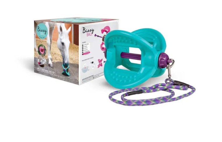 Bizzy Bites Bizzy Ball