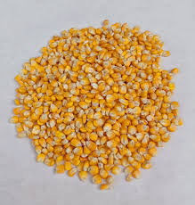 Whole Maize 20kg