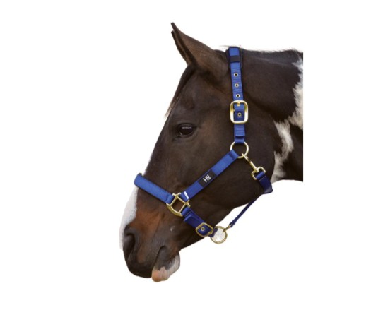 Hy Equestrian Deluxe Padded Head Collar