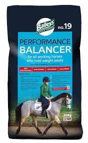 Baileys No 19 Performance Balancer 20kg