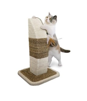 Rosewood Catwalk Collection Rimini Post