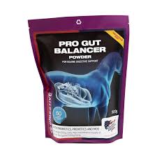 Equine America Pro Gut Balancer 900g