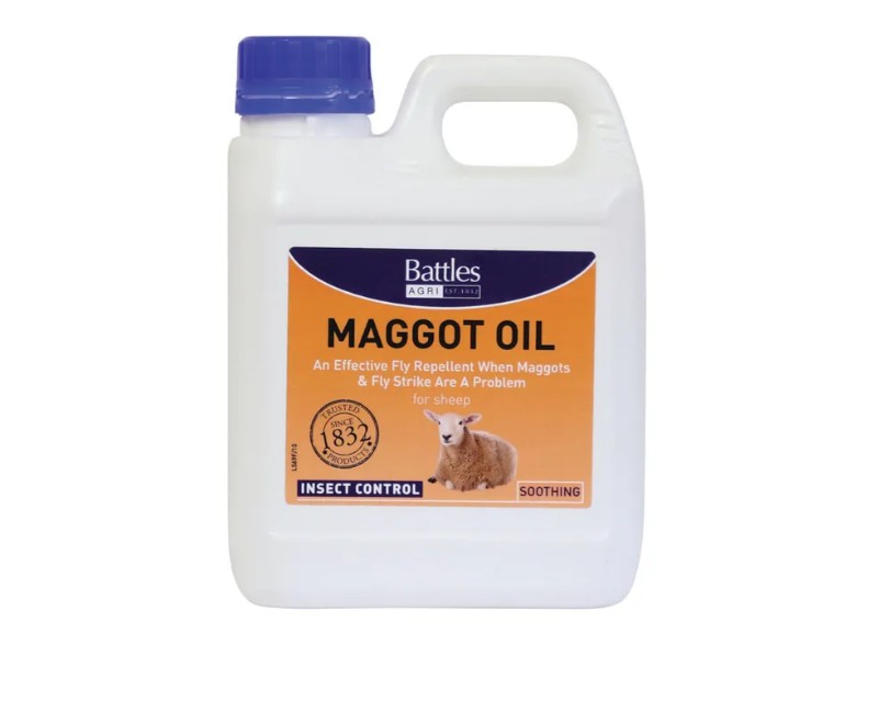Battles Maggot Oil