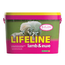 Lifeline Lamb and Ewe Bucket