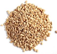 Whole Barley 20kg