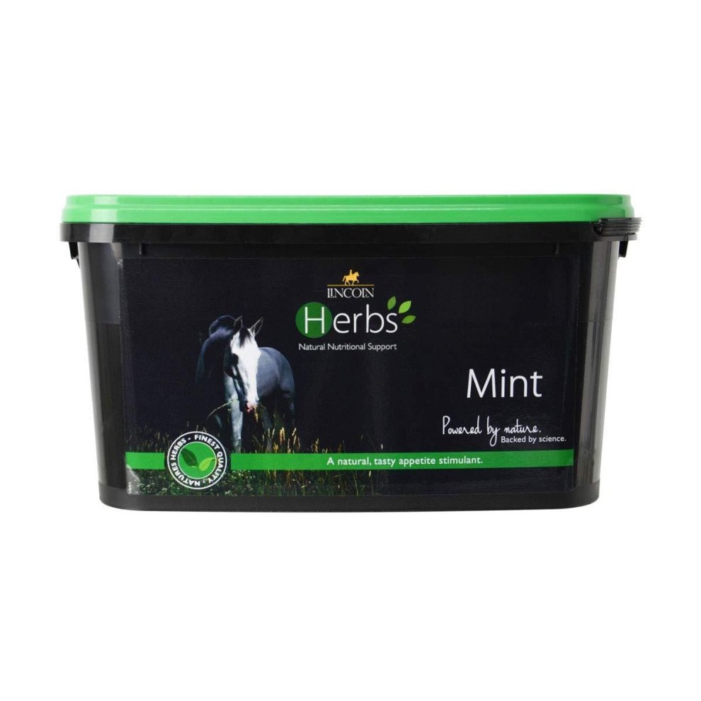 Lincoln Herbs Mint Size 1 Kg