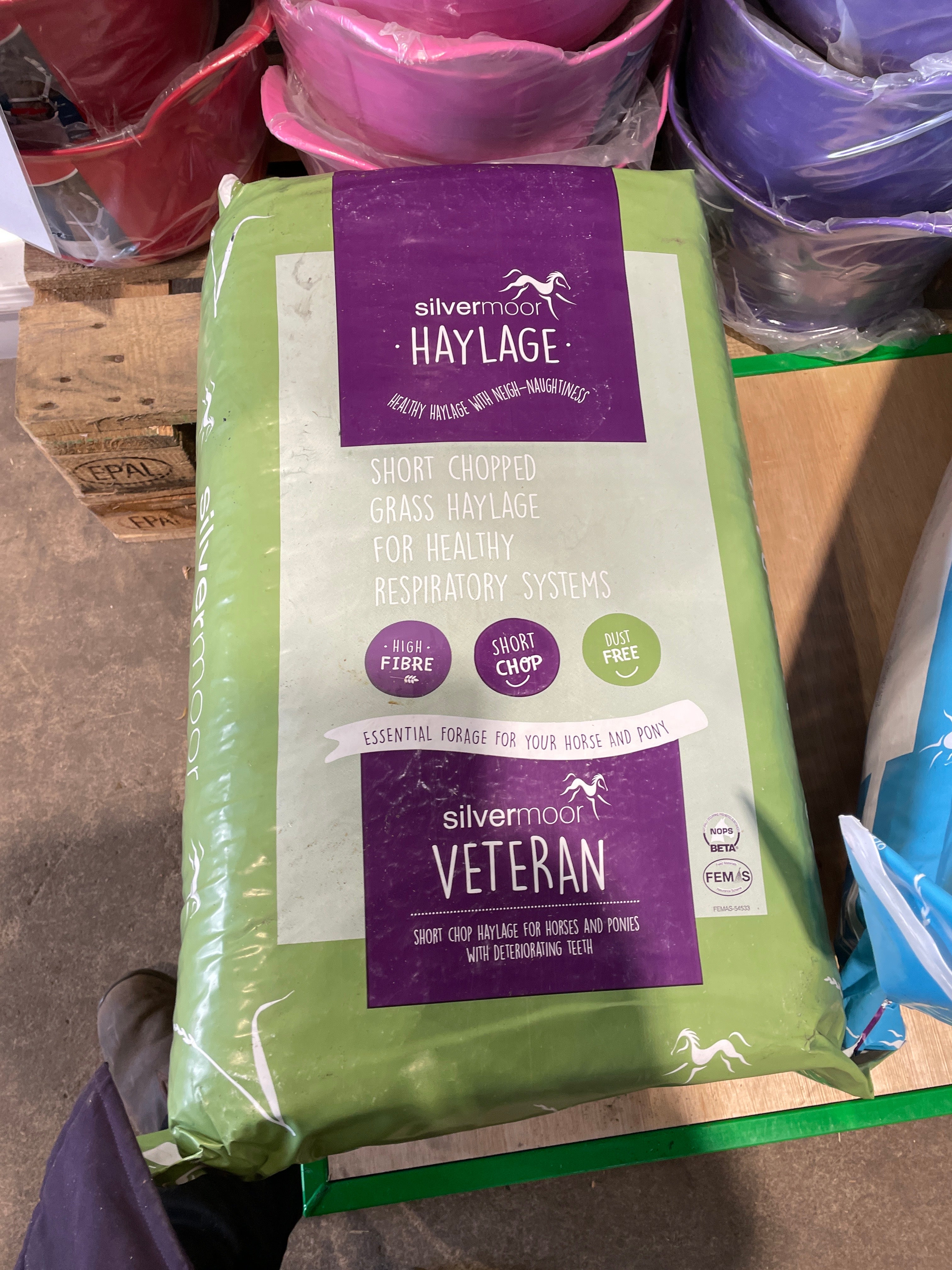 Silvermoor Haylage  Veteran