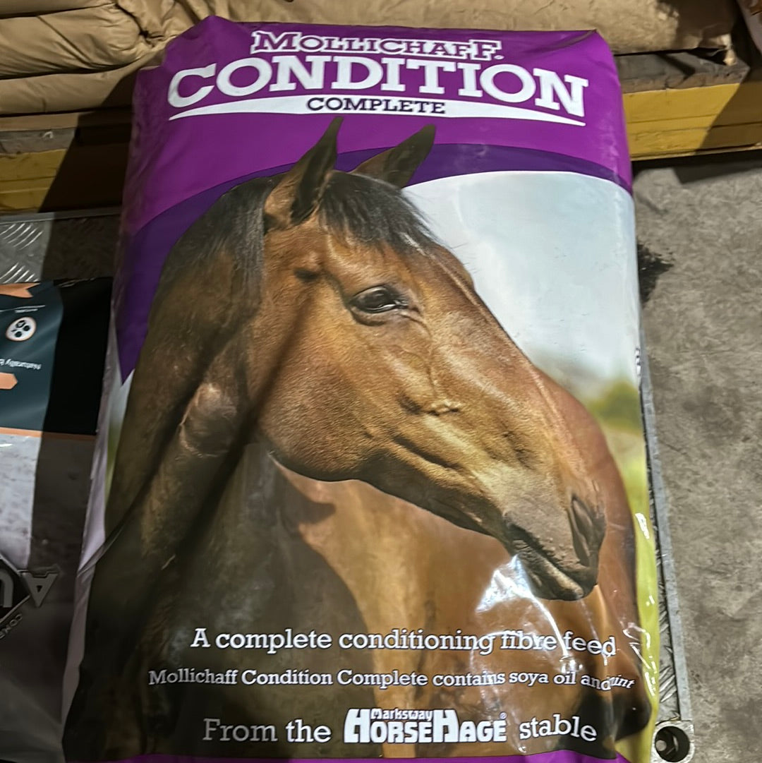 Mollichaff Condition Complete