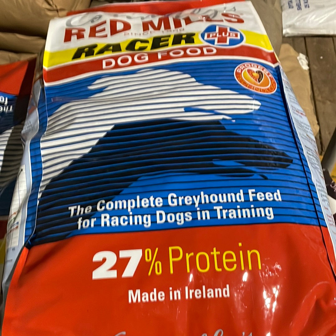 Red Mills Racer Dog
