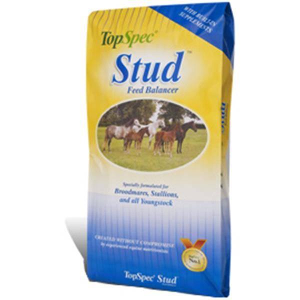 Topspec Stud Balancer 20kg