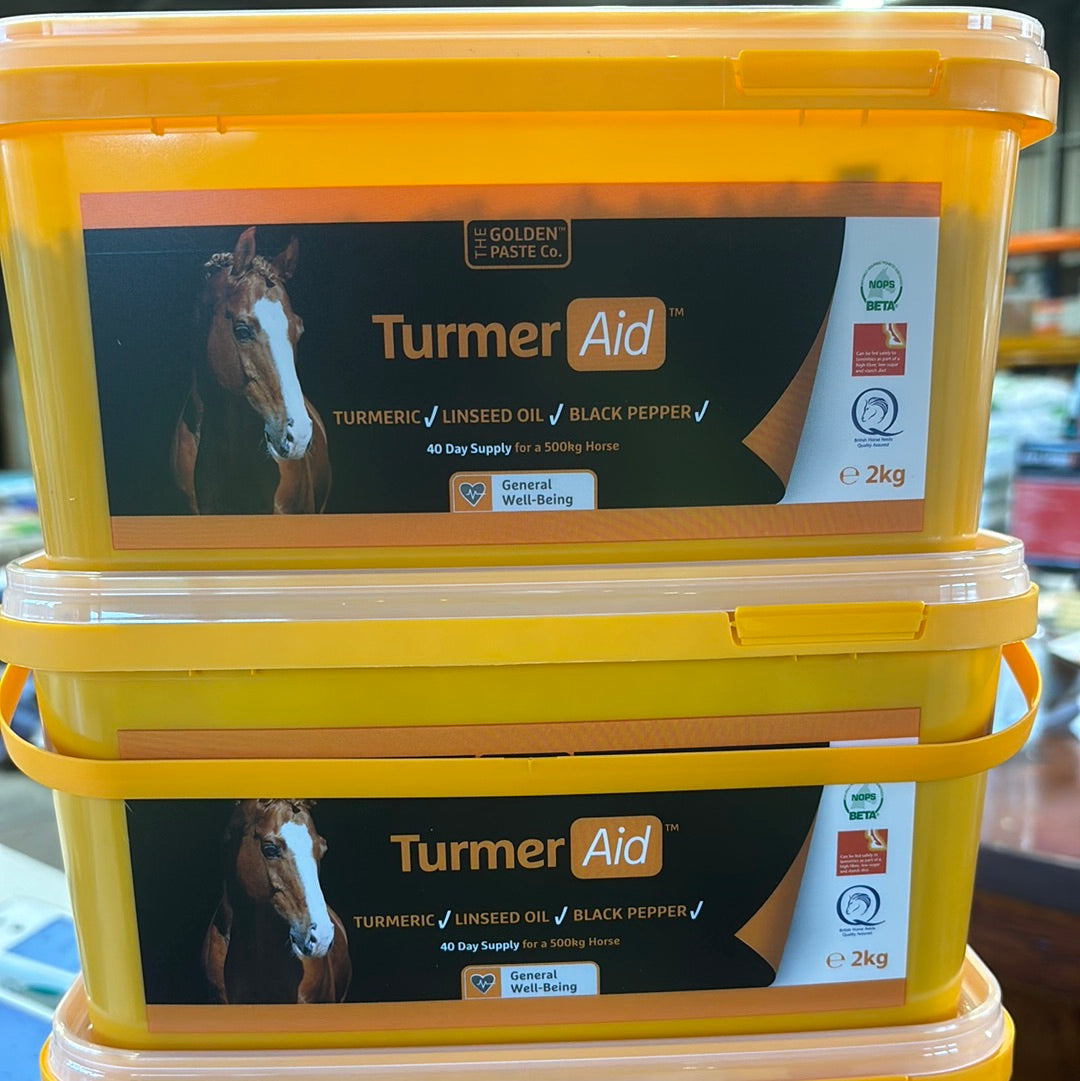 The Golden Paste Co Turmeraid 2kg