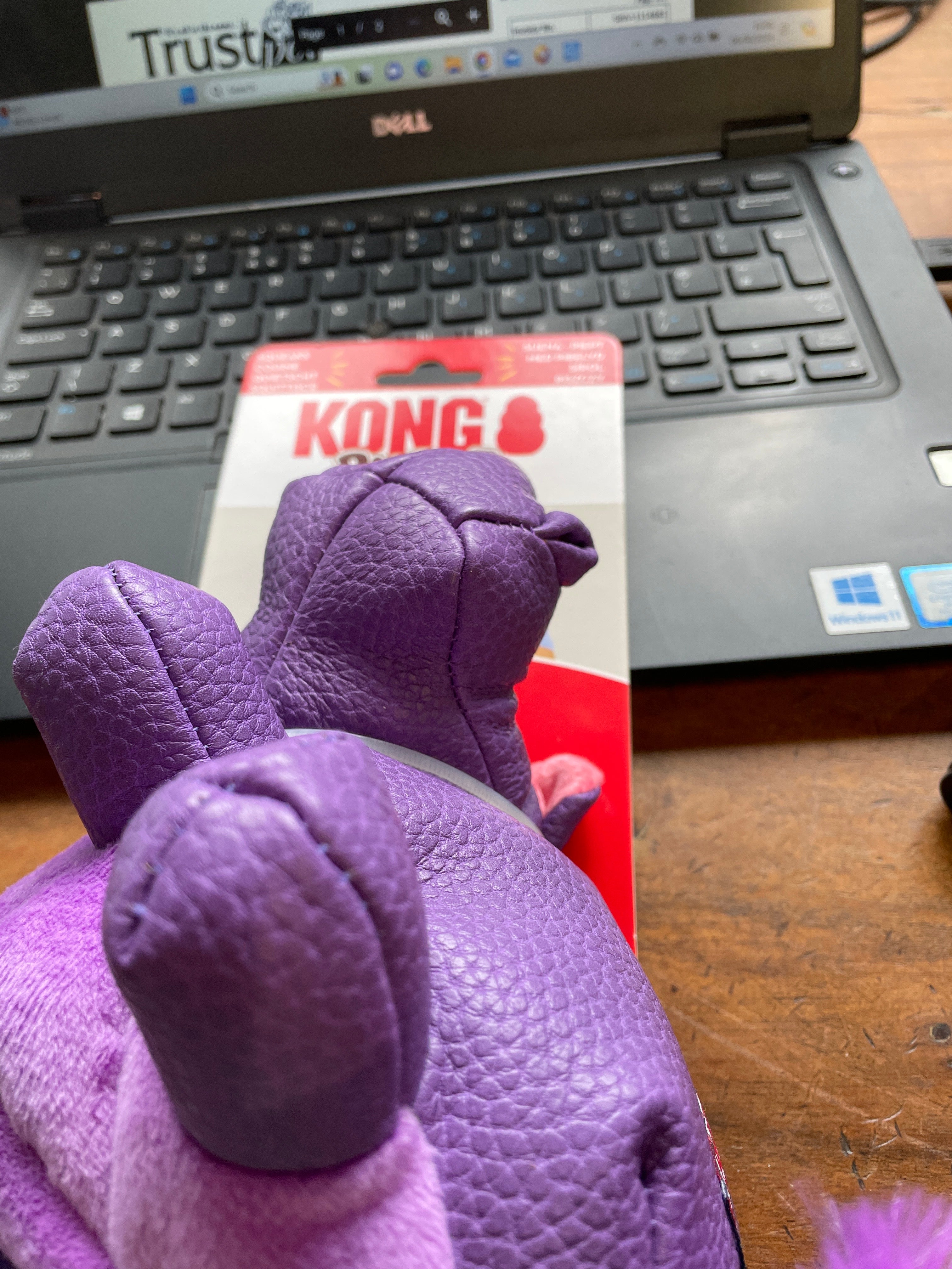 Kong Phatz Hippo Medium