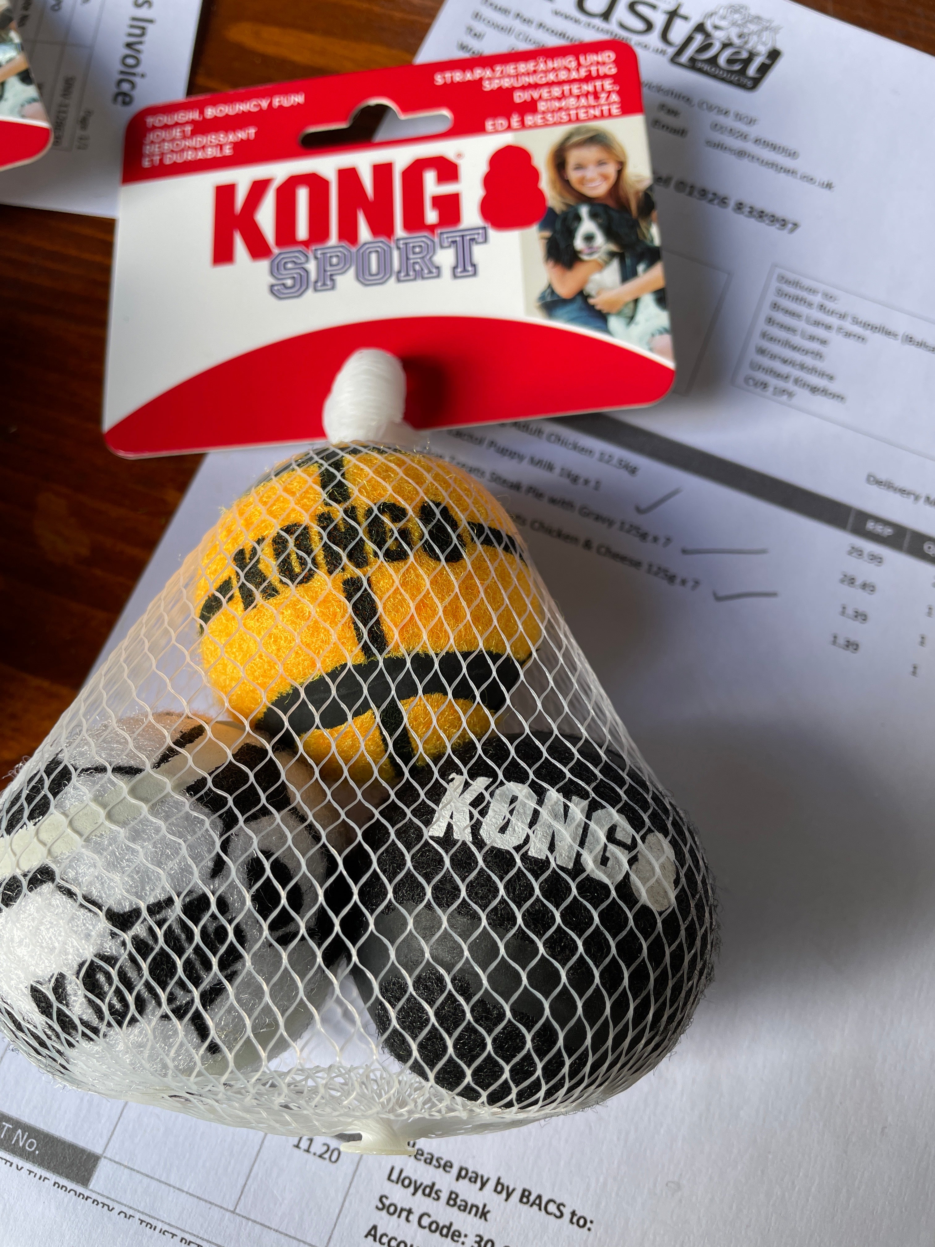 Kong Air Dog Sports Balls Small